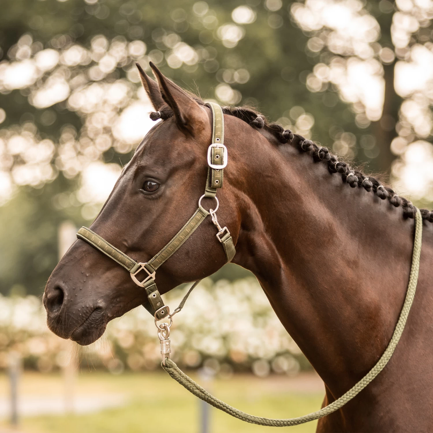 Horze Victoria Halter - Beetle Khaki Green - Image 5