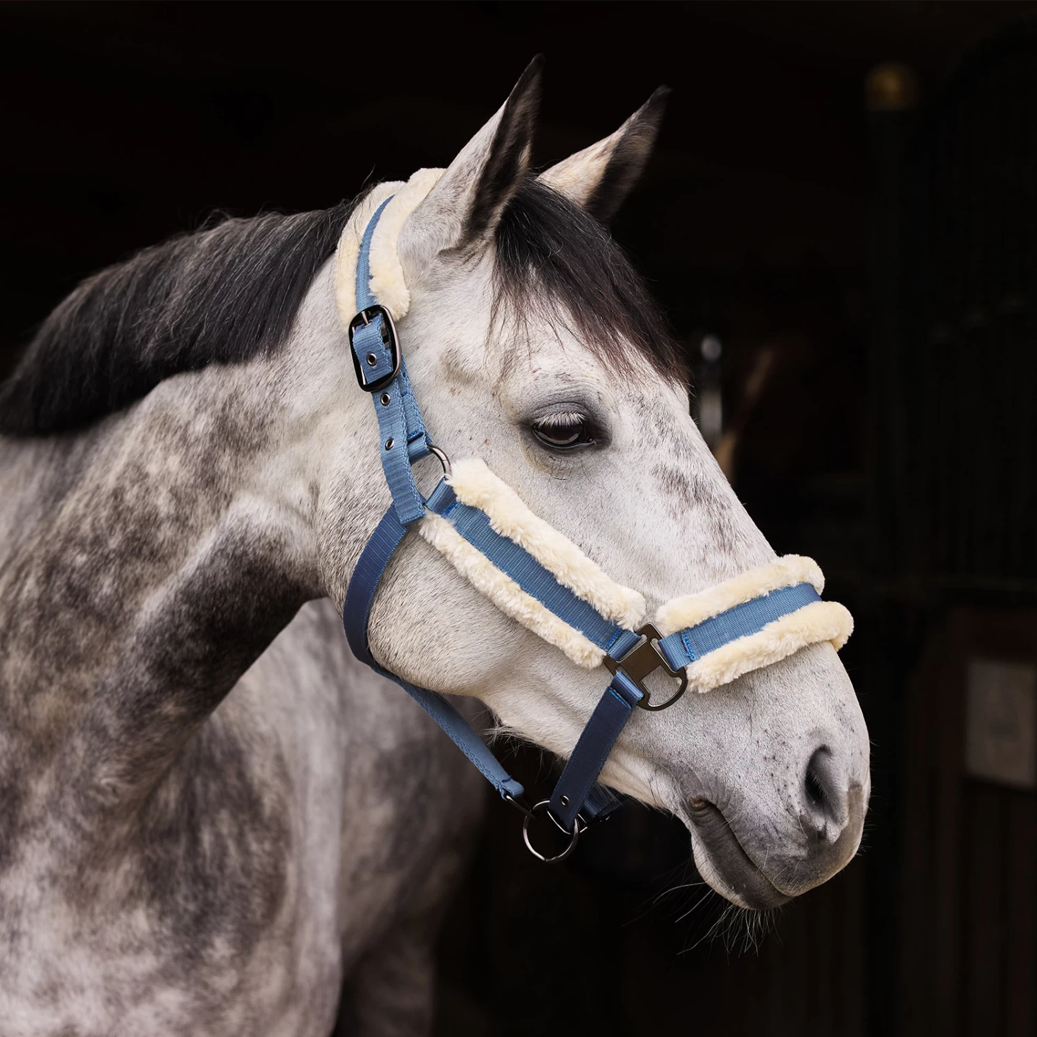Horze Marquess Halter - Burnt Olive - Image 5