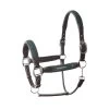 B Vertigo Evolve Leather Halter With Braided Accents - Jungle Green