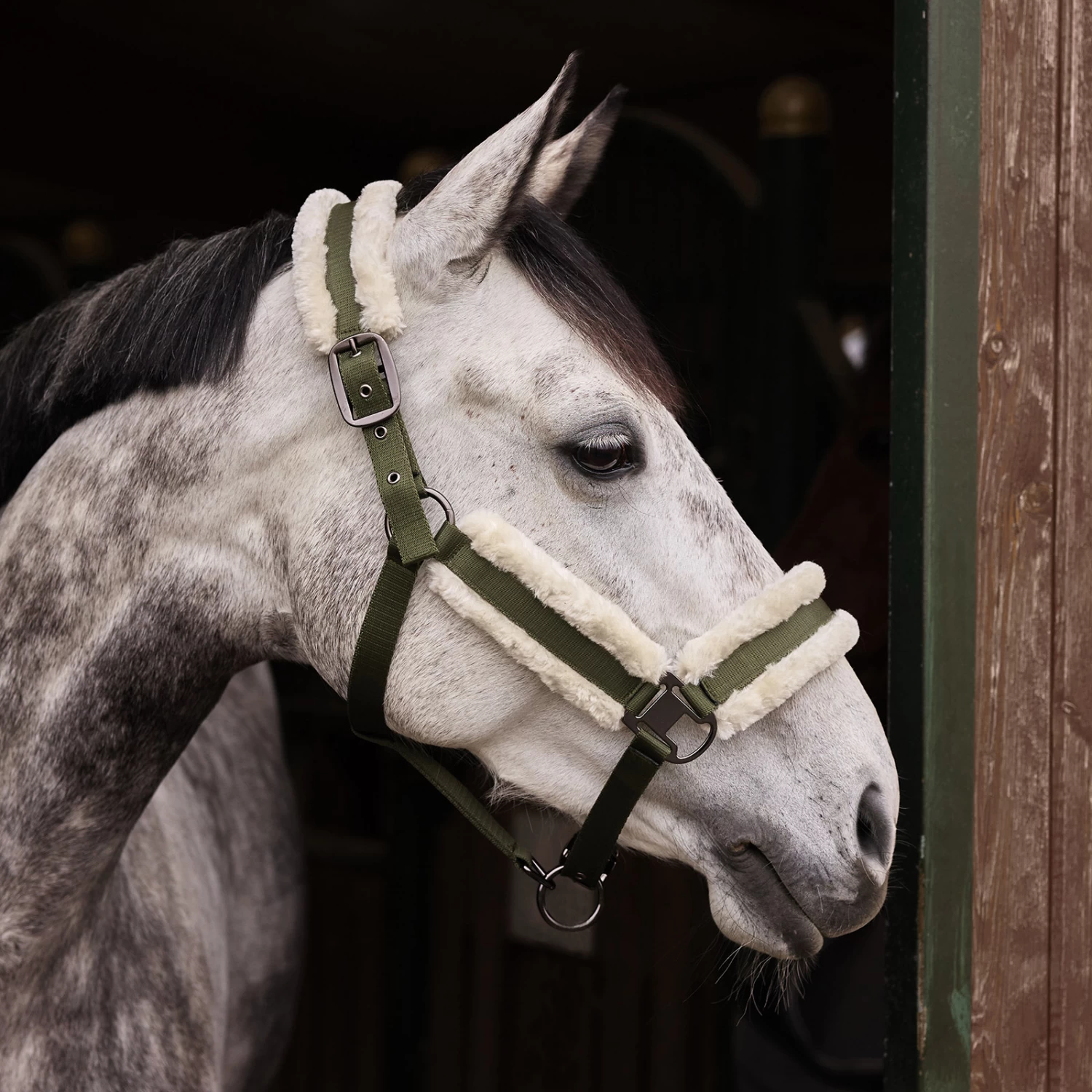 Horze Marquess Halter - Burnt Olive - Image 2