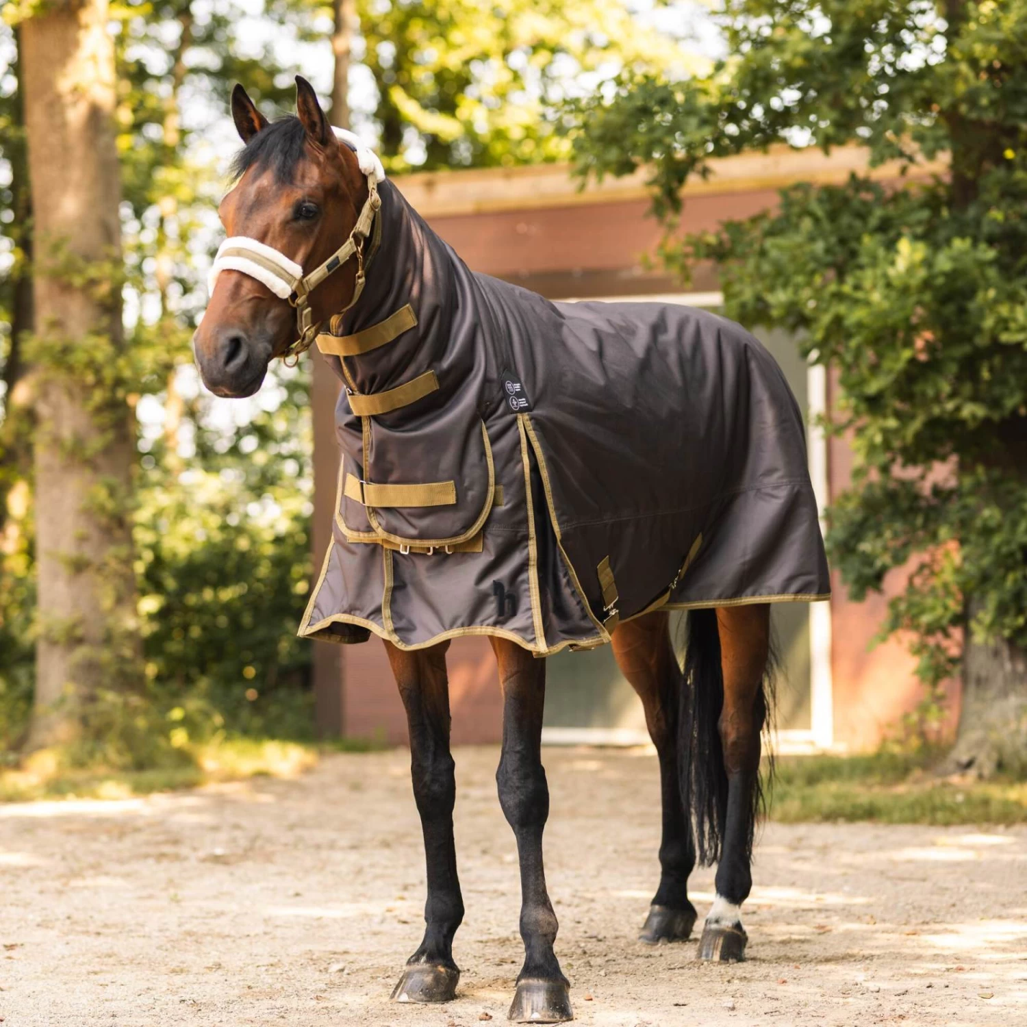 Horze Avalanche Heavyweight Combo Turnout Blanket 350g - Chocolate Martini - Image 7