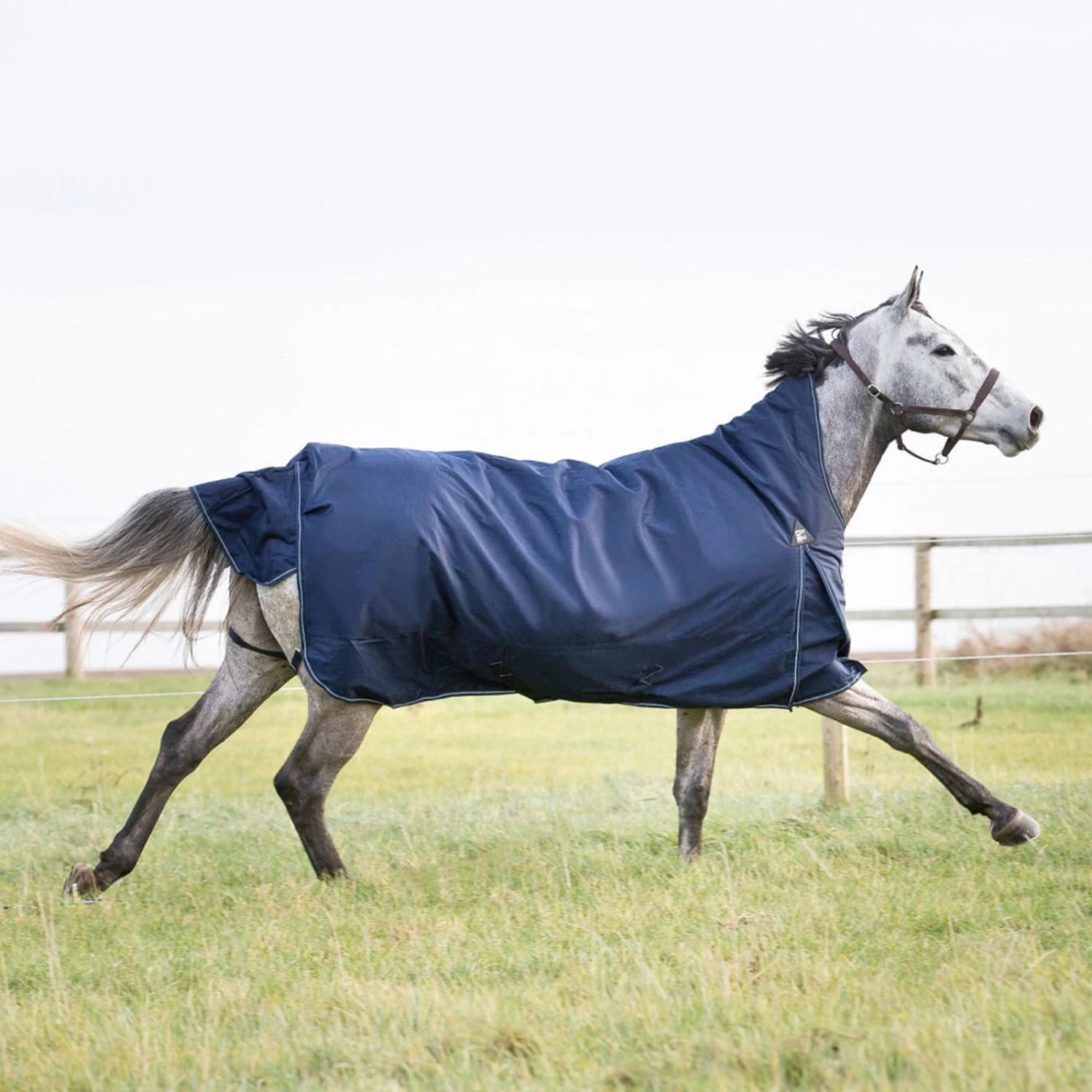 Horze Avalanche Heavy Weight Turnout Blanket 300g - Peacoat Dark Blue - Image 9