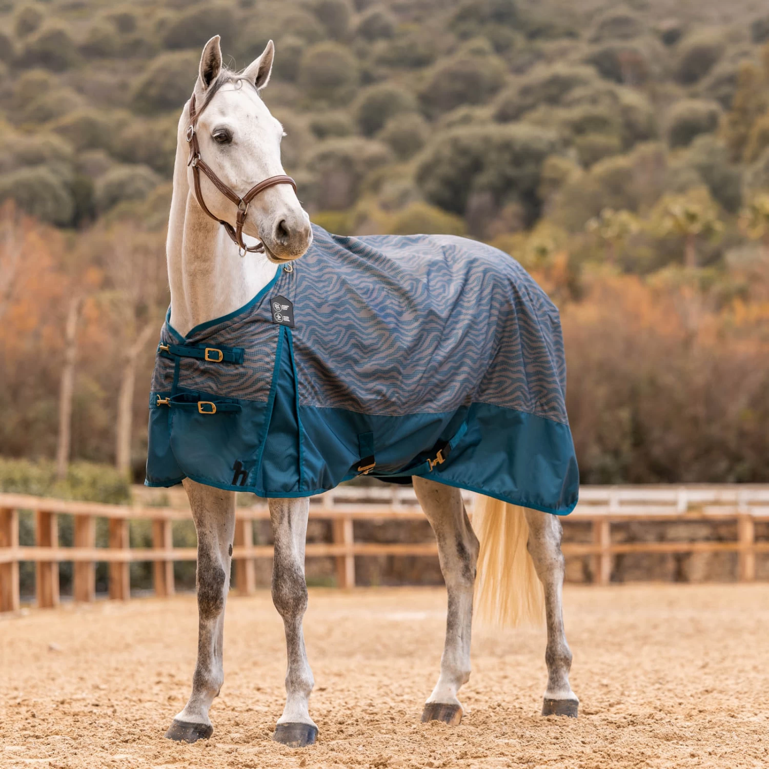 Horze Nevada Turnout Sheet - 600D - Legion Blue - Image 4