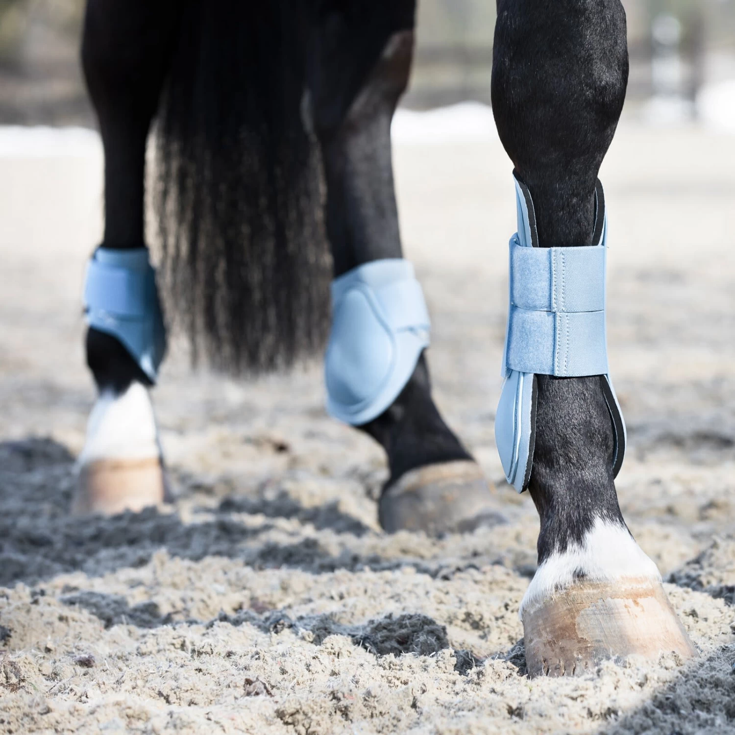 Horze Chicago Fetlock Hind Horse Boots - Cashmere Blue - Image 4